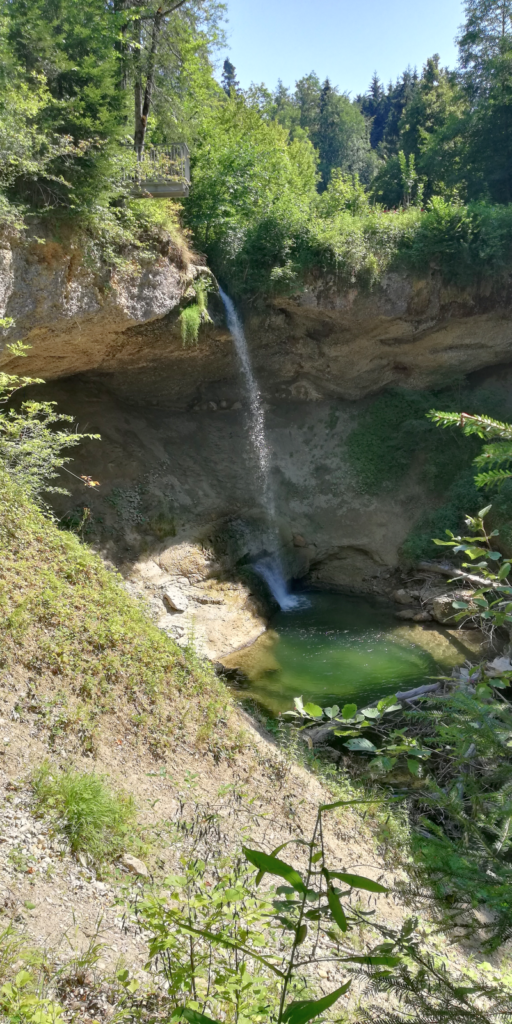 Rückblick zum Ausflug am 19.07.2018 nach Scheidegg und Bregenz.