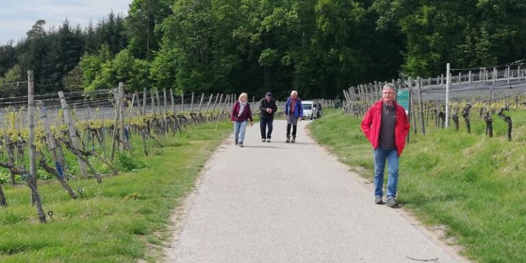 Dann waren es nur noch sechs