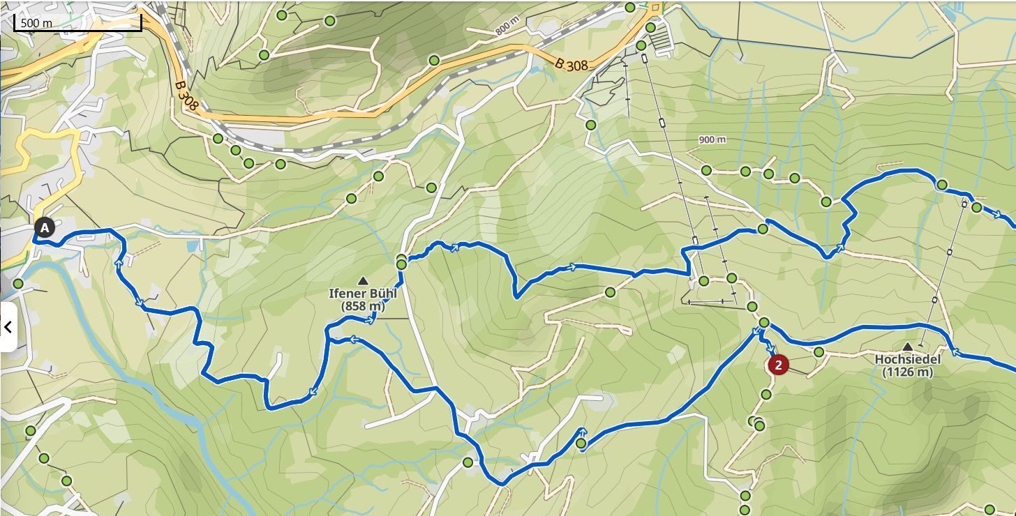 Wanderung Krokusblüte Hündle