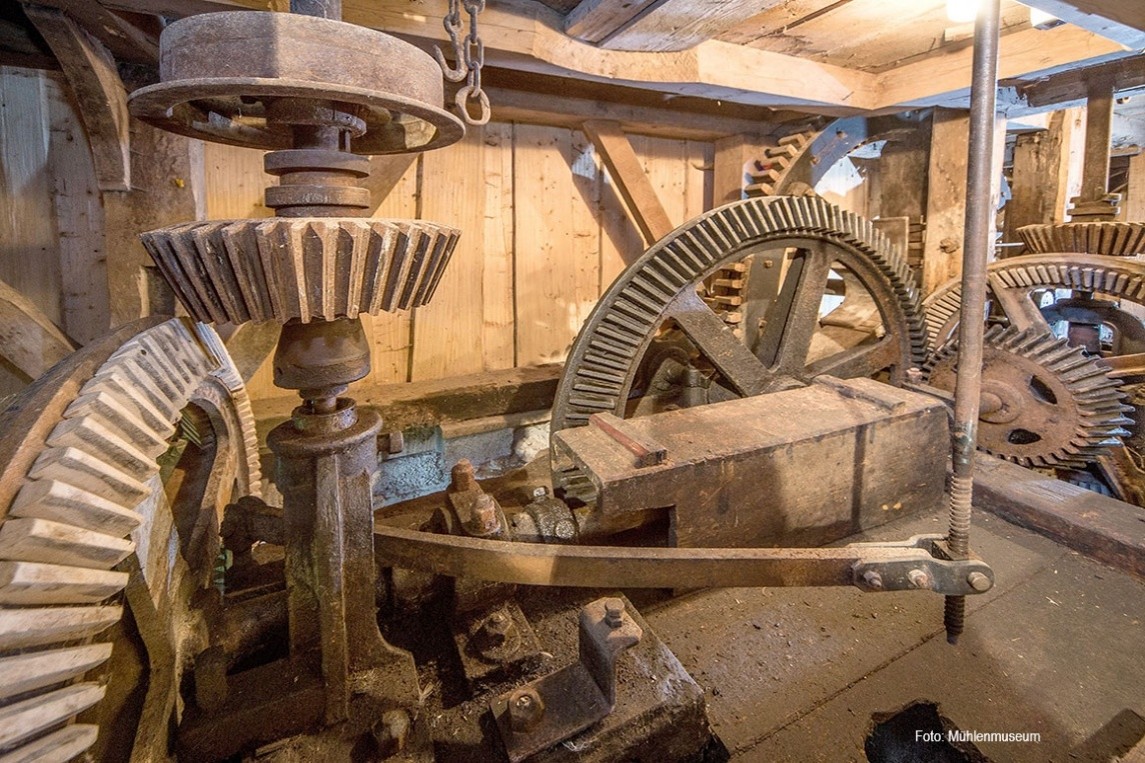 Tagesausflug Katzbrui-Mühle und Abt-Rennsport